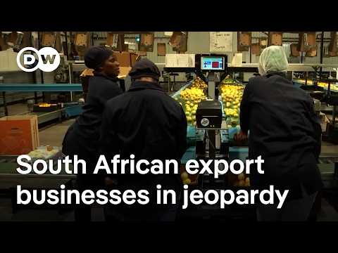 Trump’s tariffs shake African economies: Could it get worse? | DW News