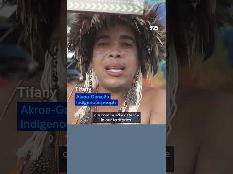 Tear gas against Indigenous people in Brazil | DW News