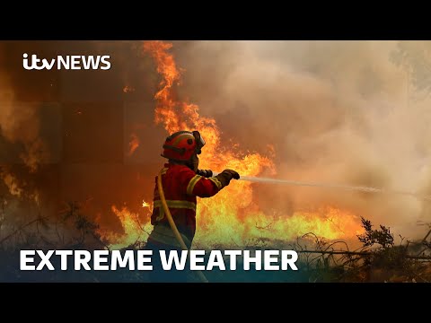 Europe becomes the world’s fastest-warming continent – with 2024 hottest year on record | ITV News