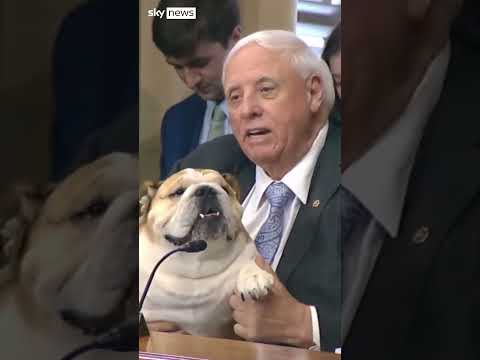 US Senator brings bulldog to meeting to share her ‘testimony’