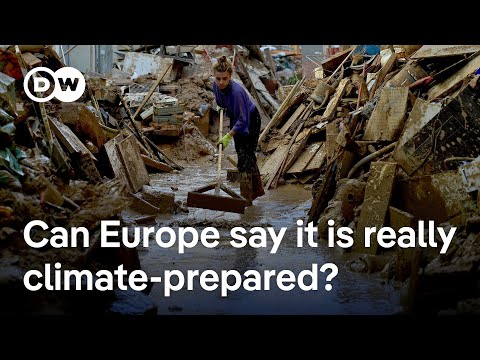 2024 was the hottest recorded year. What’s Europe doing to adapt? | DW News