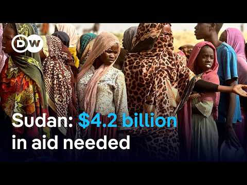 What the world must do to help the people of war-torn Sudan | DW News