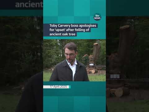 Toby Carvery boss apologises for ‘upset’ after felling of ancient oak tree | ITV News
