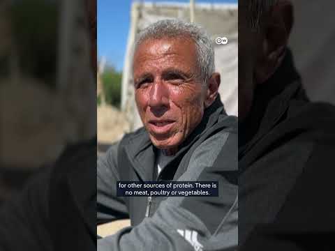 Gazans in Khan Younis turn to turtle meat for sustenance | DW News