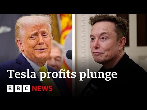 Elon Musk to reduce US government role after Tesla profits plunge | BBC News