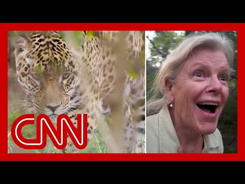 Inside one of the world’s most ambitious conservation projects