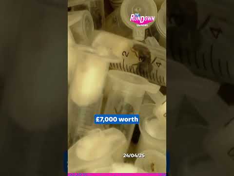 Teens caught trying to illegally smuggle 5,000 ants #itvnews