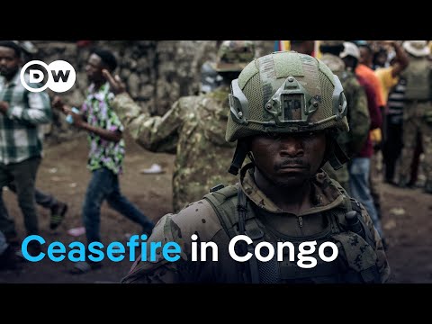 DR Congo and M23 rebels pledge to make peace efforts | DW News