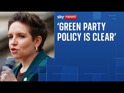 Green Party co-leader denies split over trans rights
