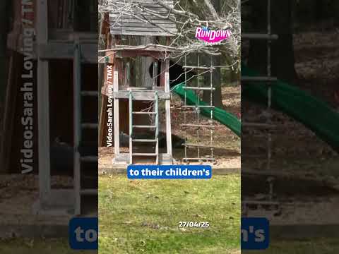 You won’t bear-lieve this… #itvnews