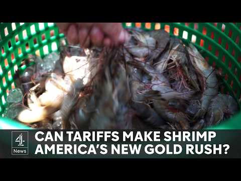 Will Trump’s tariffs help shrimping industry?