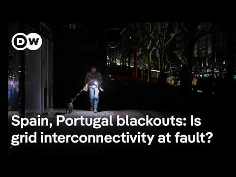 Energy analyst: ‘Grid resilience’ requires ‘efficiency’ and a ‘distributive’ energy supply | DW News