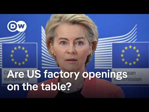 How European politicians and businesses react to US tariffs | DW News