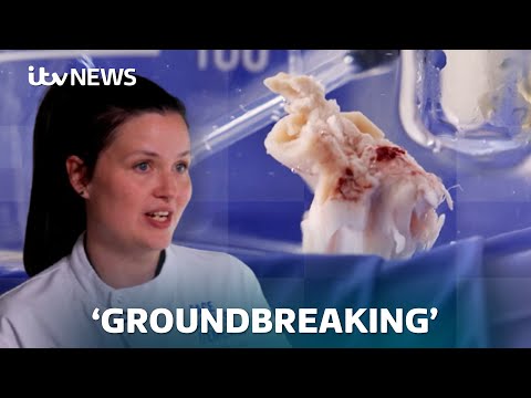 Search for Alzheimer’s cure with ‘revolutionary’ research on live brain tissue | ITV News