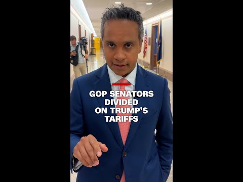 GOP senators divided on Trump’s tariffs