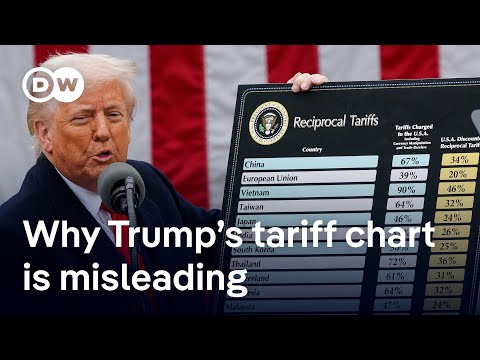 Are Donald Trump’s tariffs really reciprocal? | DW News