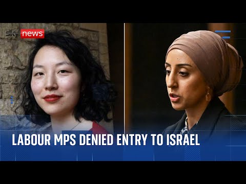 Two Labour MPs denied entry to Israel and deported over suspected ‘anti-Israel hatred’