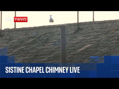 Live view of the Sistine Chapel chimney – as cardinals vote for second time