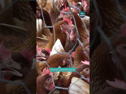 Here’s why these U.S. meat imports sparked major debate in the UK–U.S. trade talks