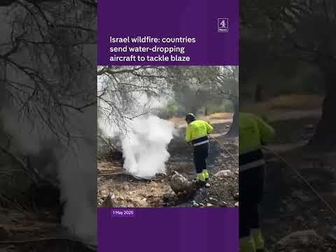 Israel wildfire: countries send water-dropping aircraft to tackle blaze