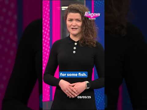 Could you use fish to buy a football ticket?  #itvnews #therundown