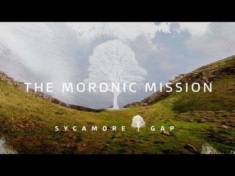 Sycamore Gap: The Moronic Mission | ITV News