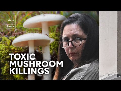 Australian mushroom killings: Erin Patterson trial begins