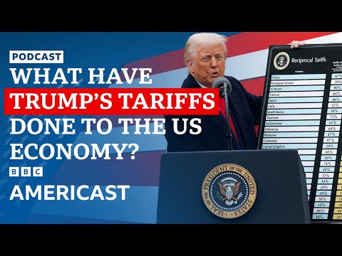 Could Trump’s tariffs shrink the US economy? | 100 Days of Trump | BBC Americast