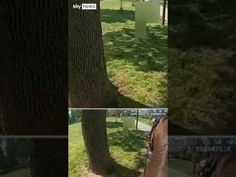 Dog attacks police horses
