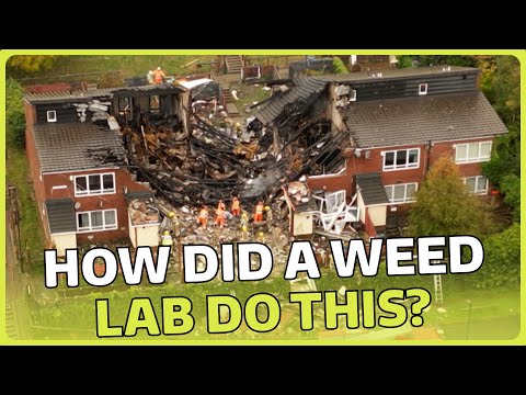 What is ‘shatter’ cannabis, the drug that’s been blowing up houses? | ITV News