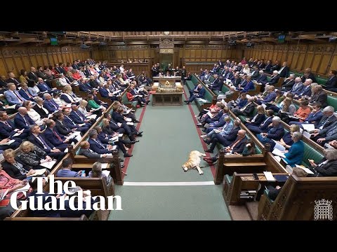 Esther Rantzen accused of being ‘disrespectful’ as MPs debate assisted dying bill