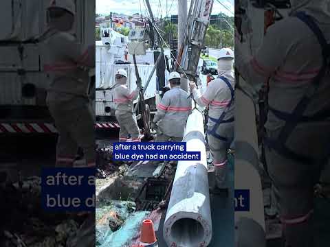Truck carrying dye crashes causes, causing fish to die | DW News