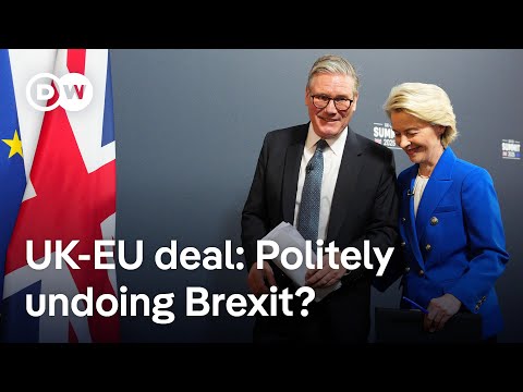 Where do pro-Brexit parties stand on newly-inked UK-EU deal? | DW News