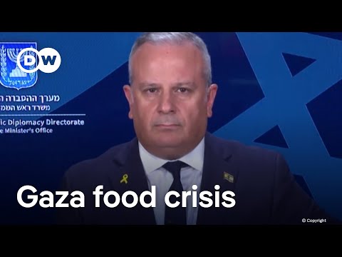 Netanyahu spokesman defends aid blockade, says ‘Gaza hunger story engineered by Hamas’ | DW News