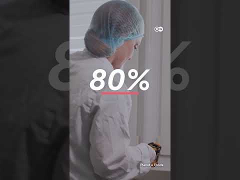 Chocolate without cocao? | DW News