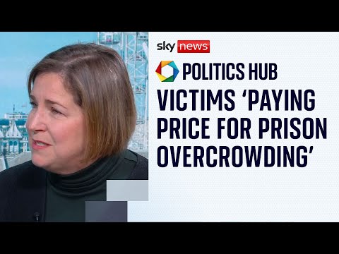 Domestic violence commissioner warns abuse victims ‘not being put first’