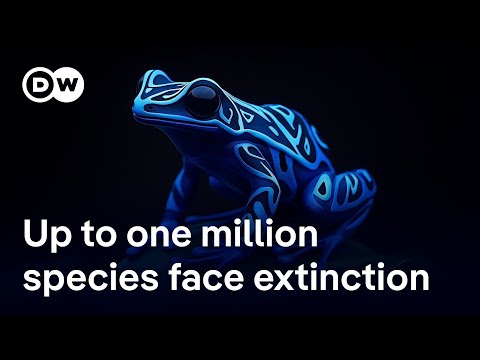 Is it enough to save species in parks or do we need to rethink how we live? | DW News