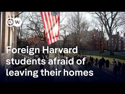What Trump’s next move against Harvard means for foreign students | DW News