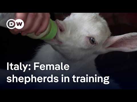 How an Italian shepherd school creates opportunities for women in the countryside | Focus on Europe