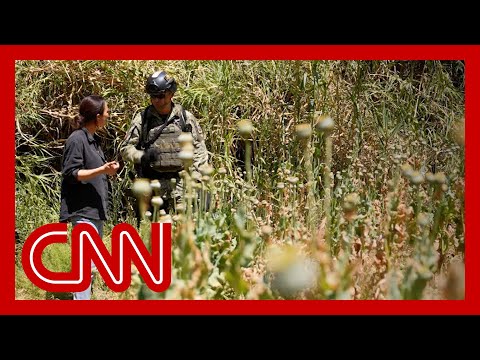 Inside Mexico’s cartel crackdown as Trump seeks to label suspected members as ‘enemy combatants’
