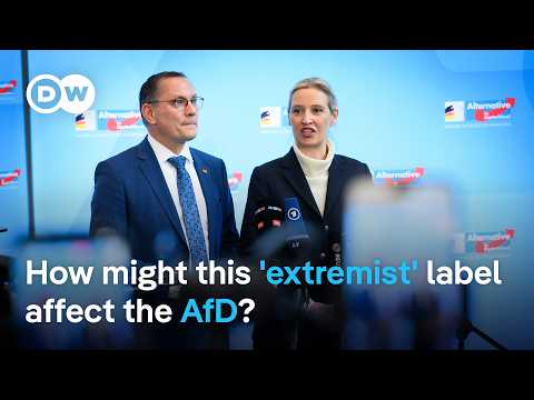 Decision could pave the way for AfD party ban | DW News