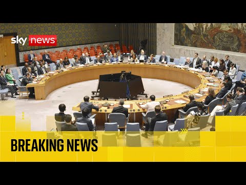 UN Security Council meeting on Middle East amid claims Hamas’s Gaza chief has been ‘eliminated’