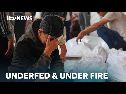 ‘We’re ready to die for food’: More Palestinians killed amid Gaza aid chaos | ITV News