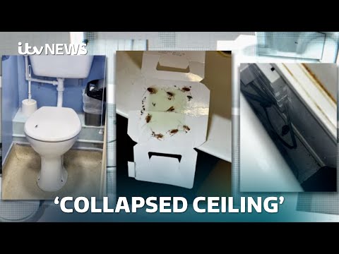‘Cockroaches were everywhere’: Students feel ignored over accommodation complaints | ITV News