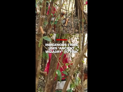 Indigenous tribe uses ‘ancient wizadry’ to fish