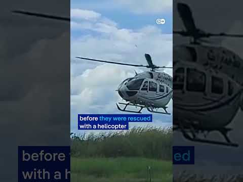 Five found after plane lands in alligator-infested swamp in Bolivian Amazon | DW News