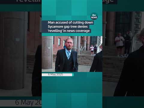 Today Daniel Graham denied being excited about the media coverage of the tree being felled.