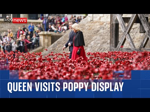 Queen praises ‘beautiful’ poppy display at Tower of London