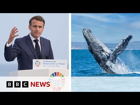 ‘Oceans are not for sale’, says French President Emmanuel Macron | BBC News