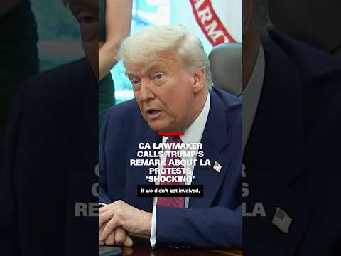 CA lawmaker calls Trump’s remark about LA protests ‘shocking’